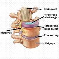 images_47.jpg images_47.jpg